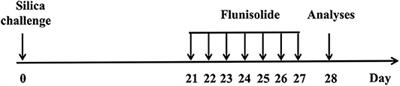 Intranasal Flunisolide Suppresses Pathological Alterations Caused by Silica Particles in the Lungs of Mice